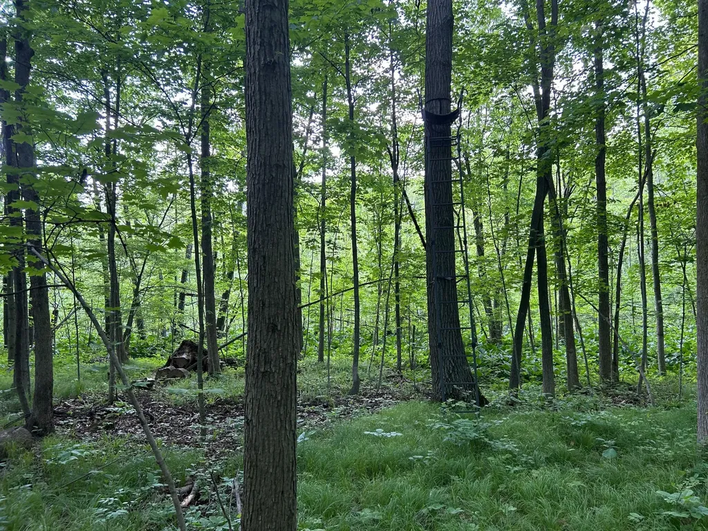 15300 Rome Road Rollin Township MI 49253