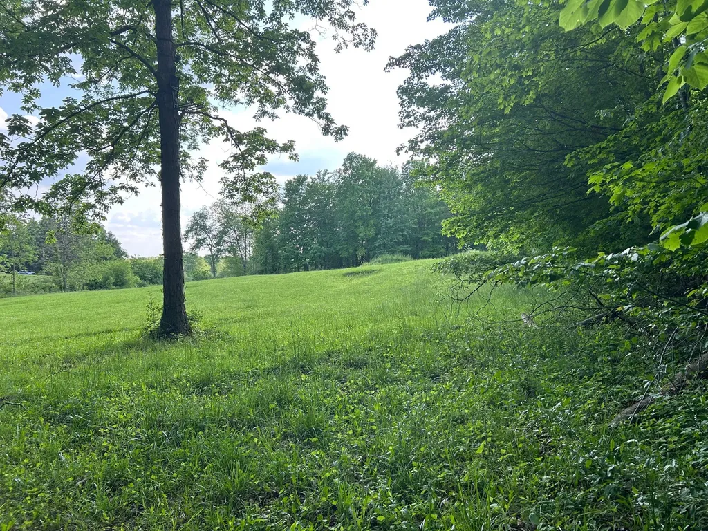 15300 Rome Road Rollin Township MI 49253
