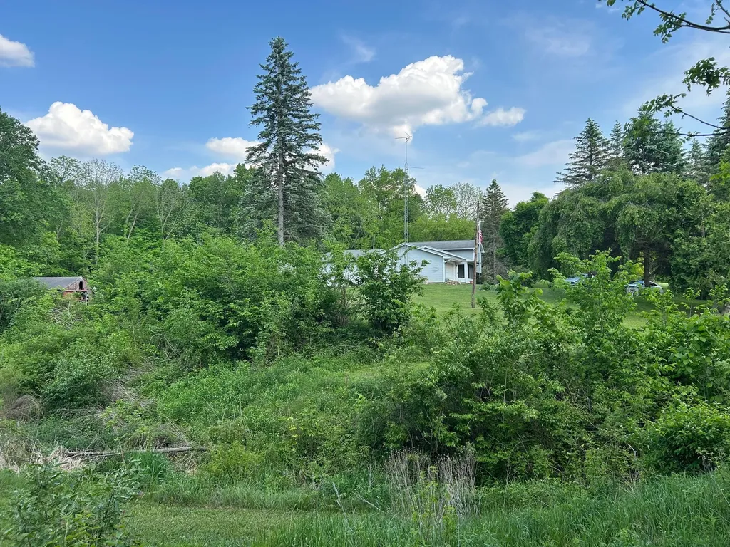 15300 Rome Road Rollin Township MI 49253