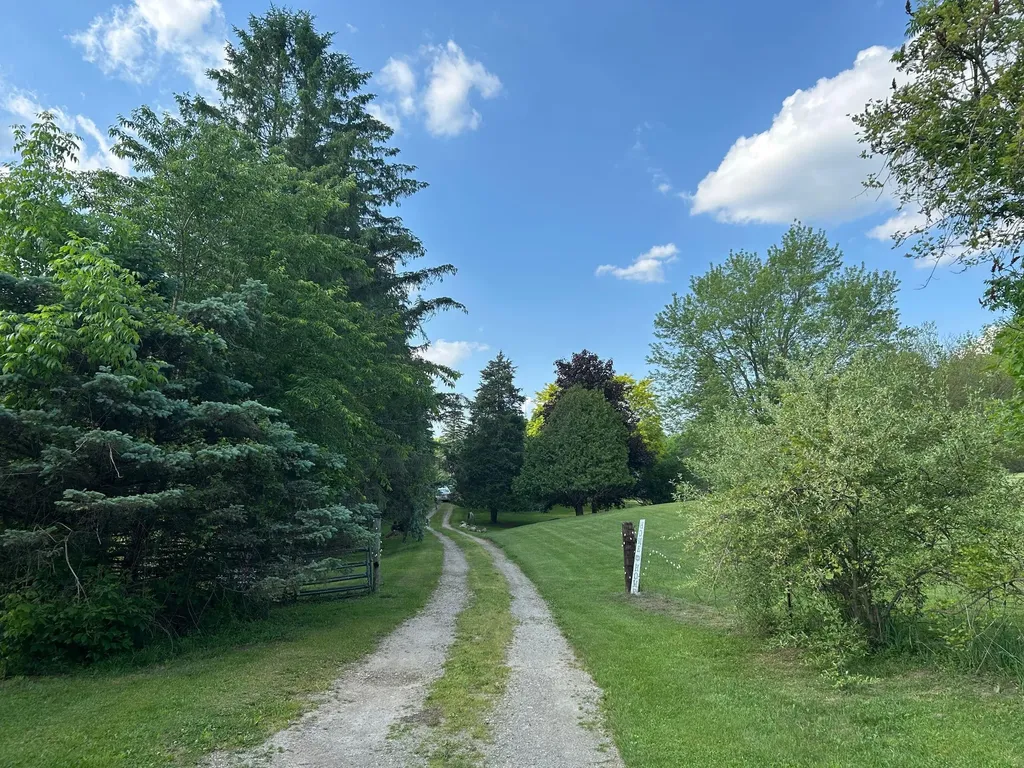 15300 Rome Road Rollin Township MI 49253