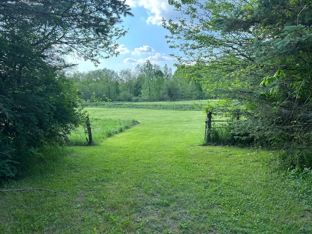 15300 Rome Road Rollin Township MI 49253