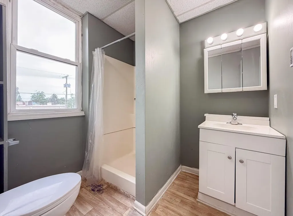 173 E Dibble Street Marcellus Township MI 49067
