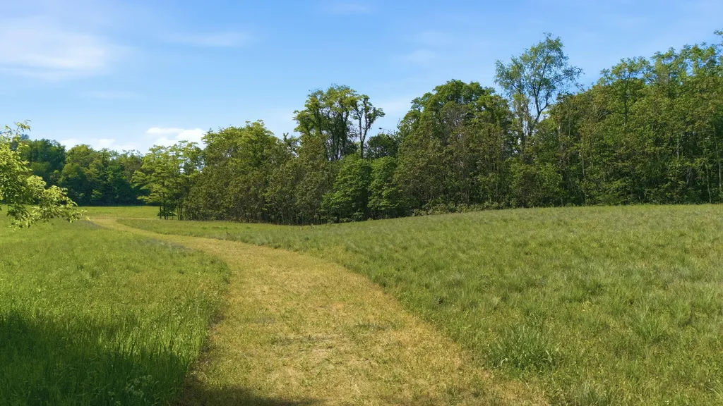1920 High Meadow S Bertrand Township MI 49120