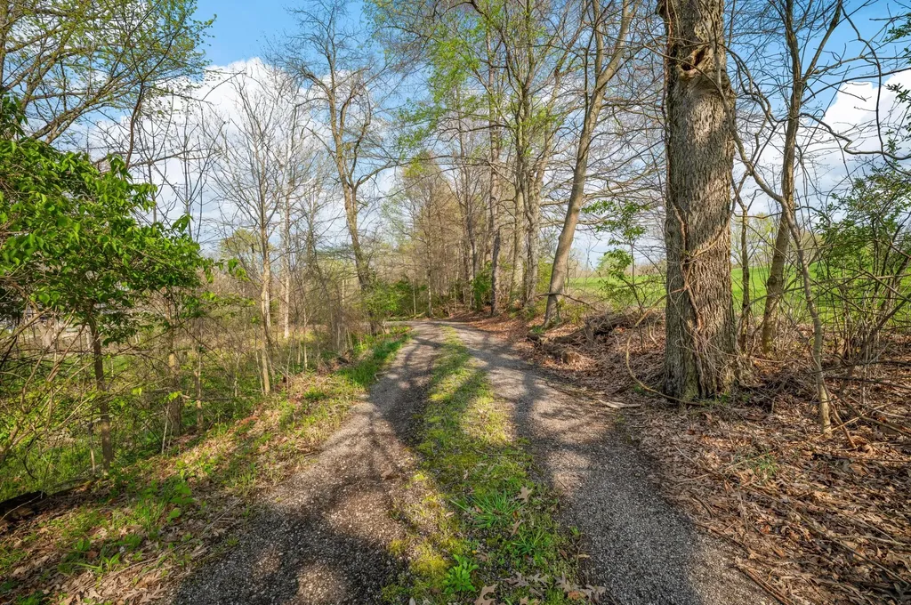 4435 Lake Chapin Road Berrien Township MI 49103