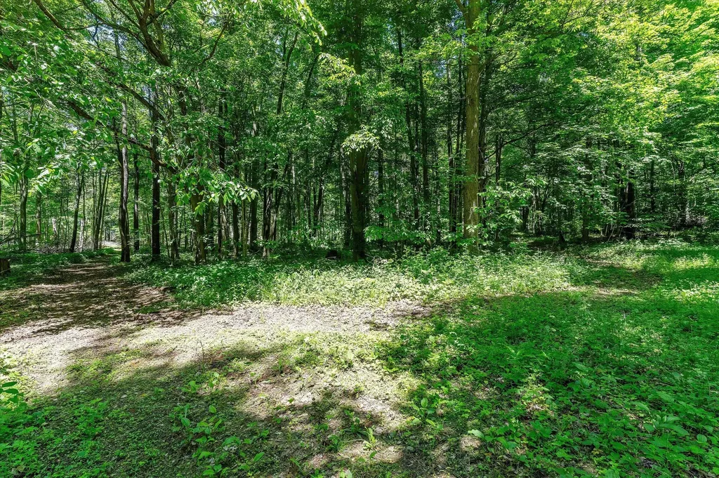22420 Mckenzie Street Wayne Township MI 49047