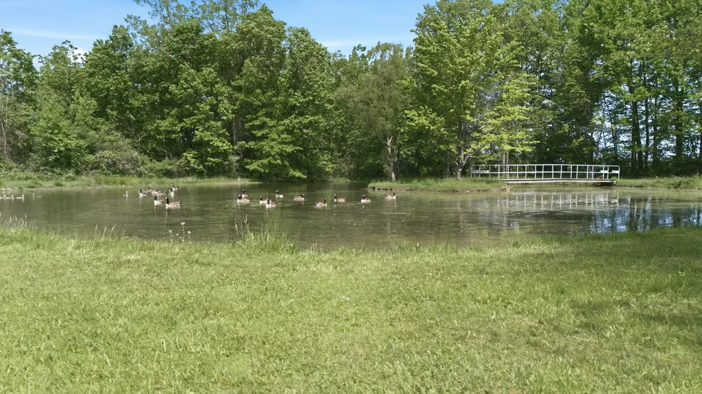7767 Warren Woods Road Chikaming Township MI 49128