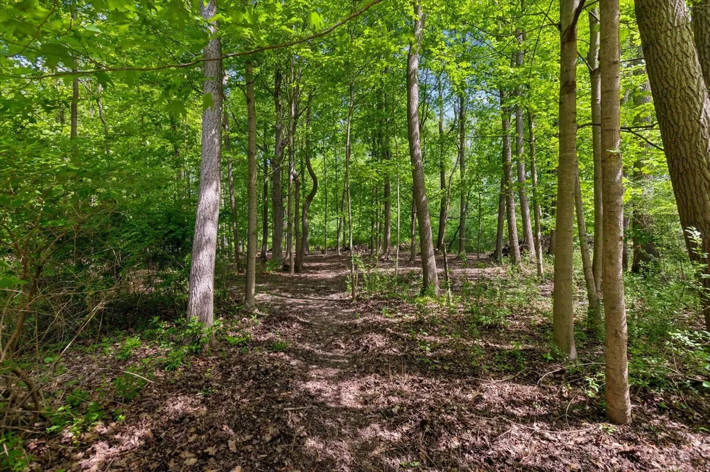 58 Lincoln Avenue Casco Township MI 49090