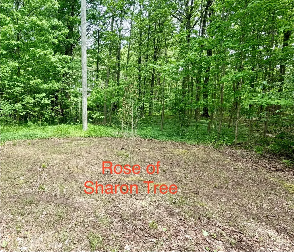 13953 Minnich Road Chikaming Township MI 49125