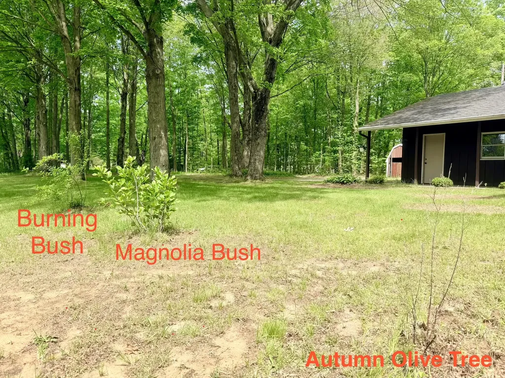 13953 Minnich Road Chikaming Township MI 49125