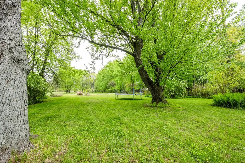 3905 Meadow Lane Lincoln Charter Township MI 49085