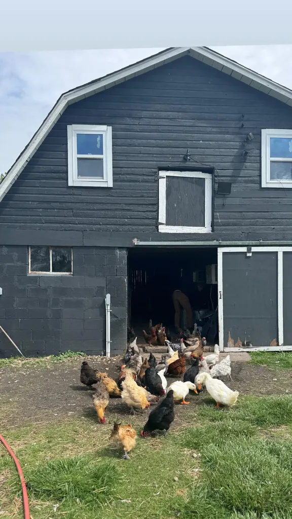 9962 Holden Road Lake Charter Township MI 49101