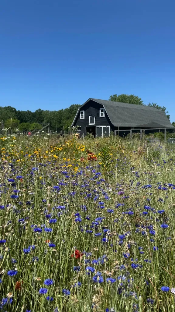 9962 Holden Road Lake Charter Township MI 49101