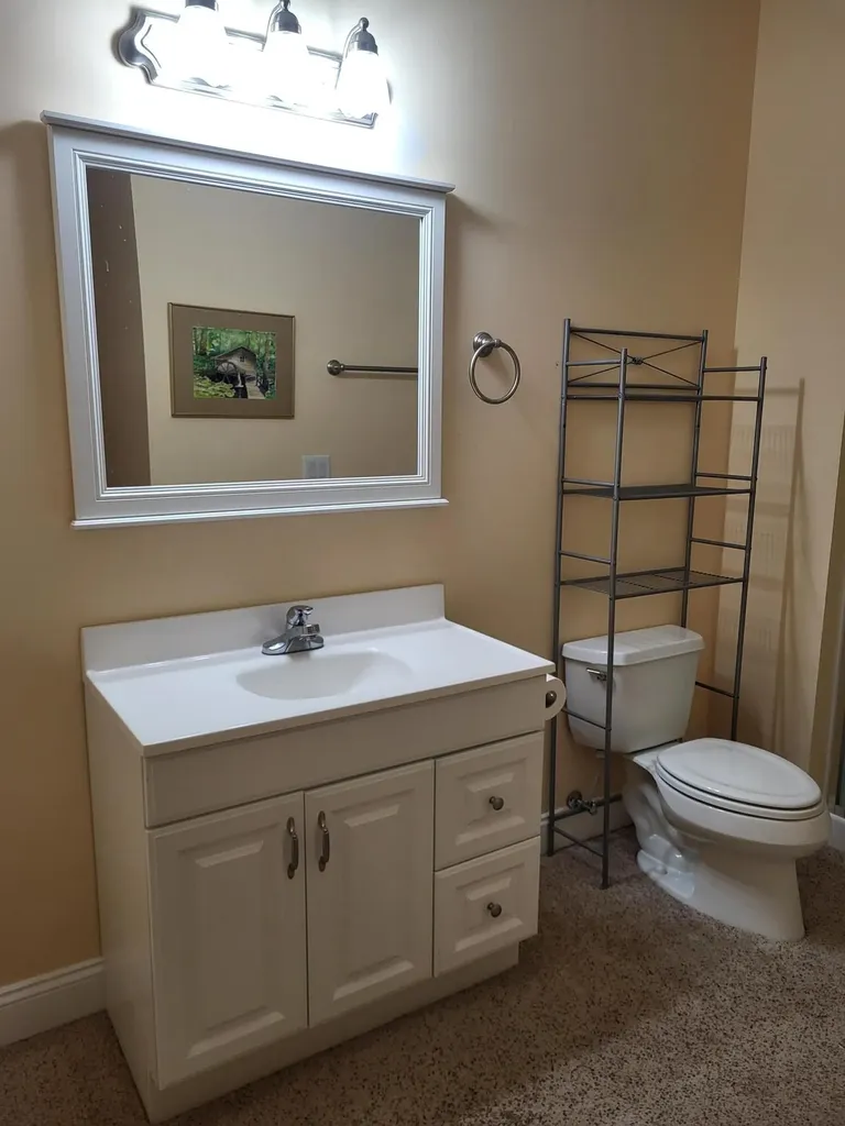 1563 Prairie Drive Royalton Township MI 49085