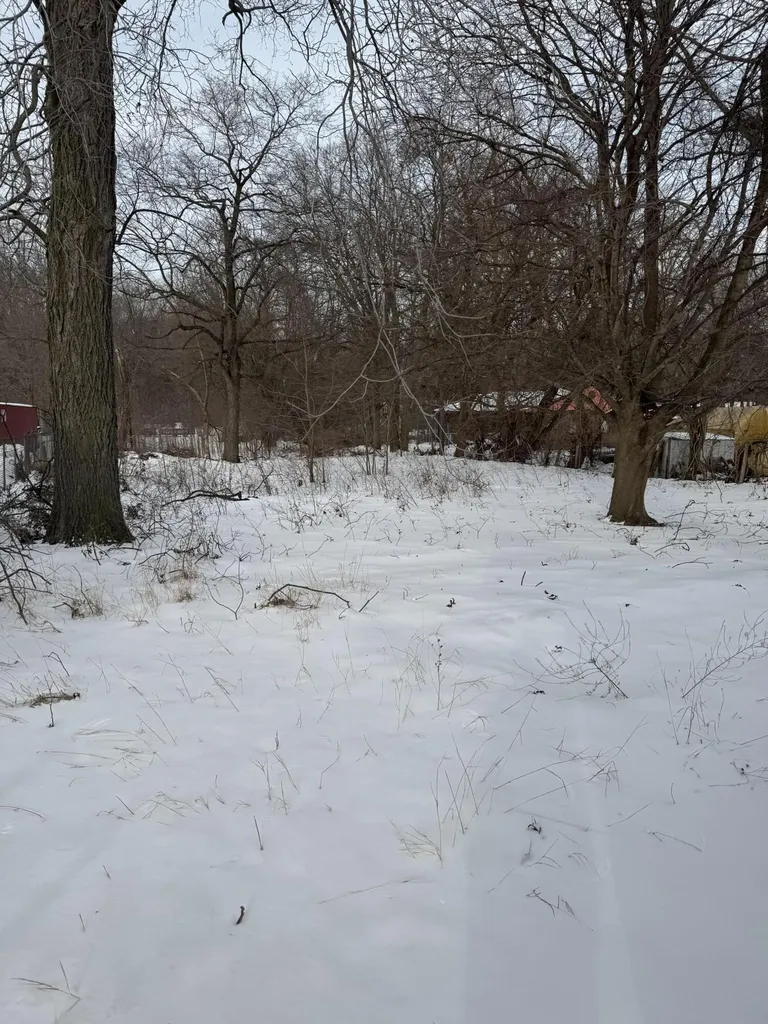 1175 E Napier Avenue Benton Charter Township MI 49022