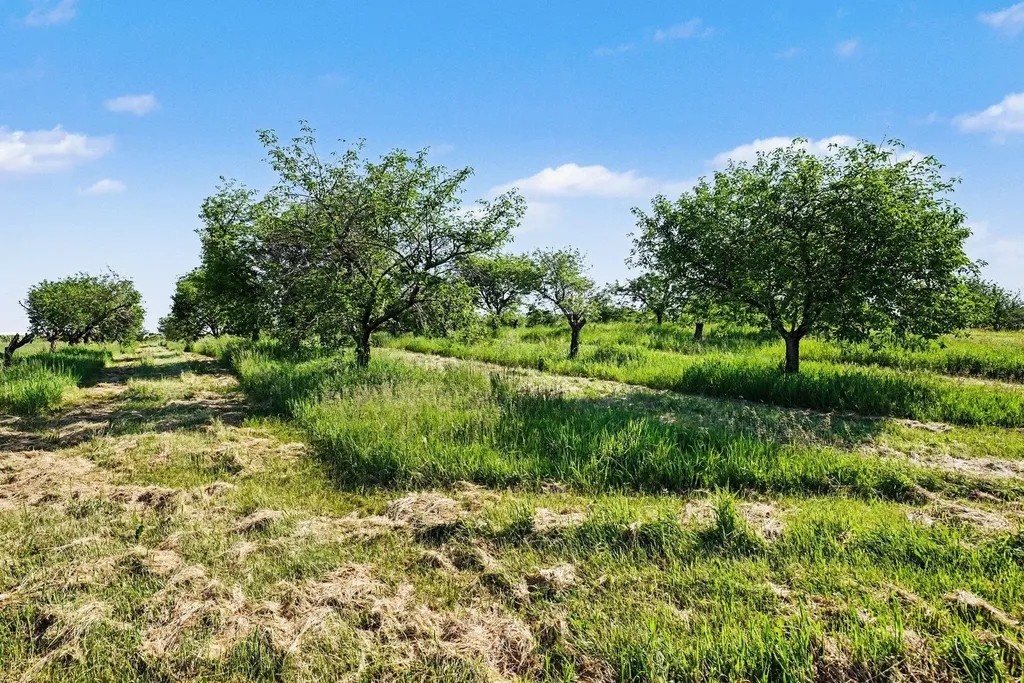 6629 N Branch Road Bainbridge Township MI 49022