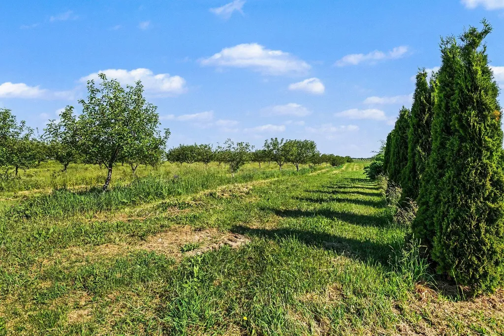 6629 N Branch Road Bainbridge Township MI 49022
