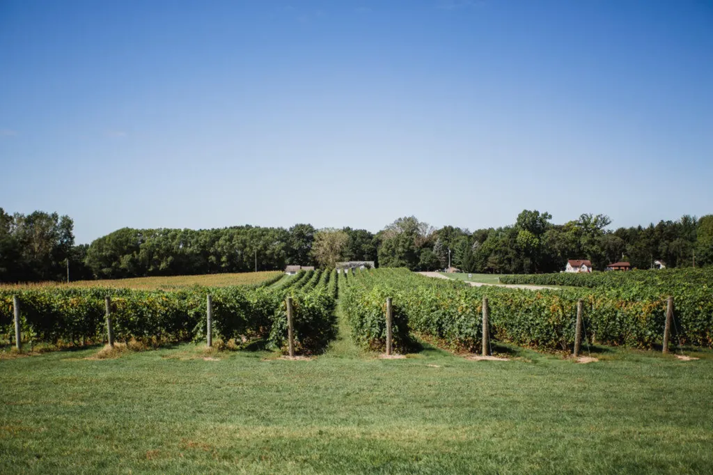 6629 N Branch Road Bainbridge Township MI 49022