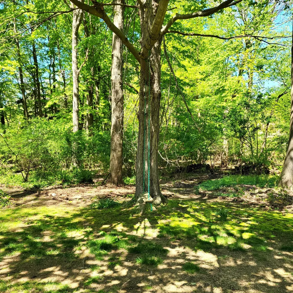 8605 East Chikaming Township MI 49116