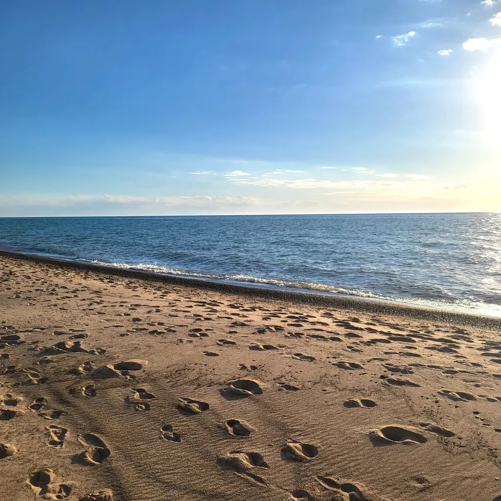 8605 East Chikaming Township MI 49116