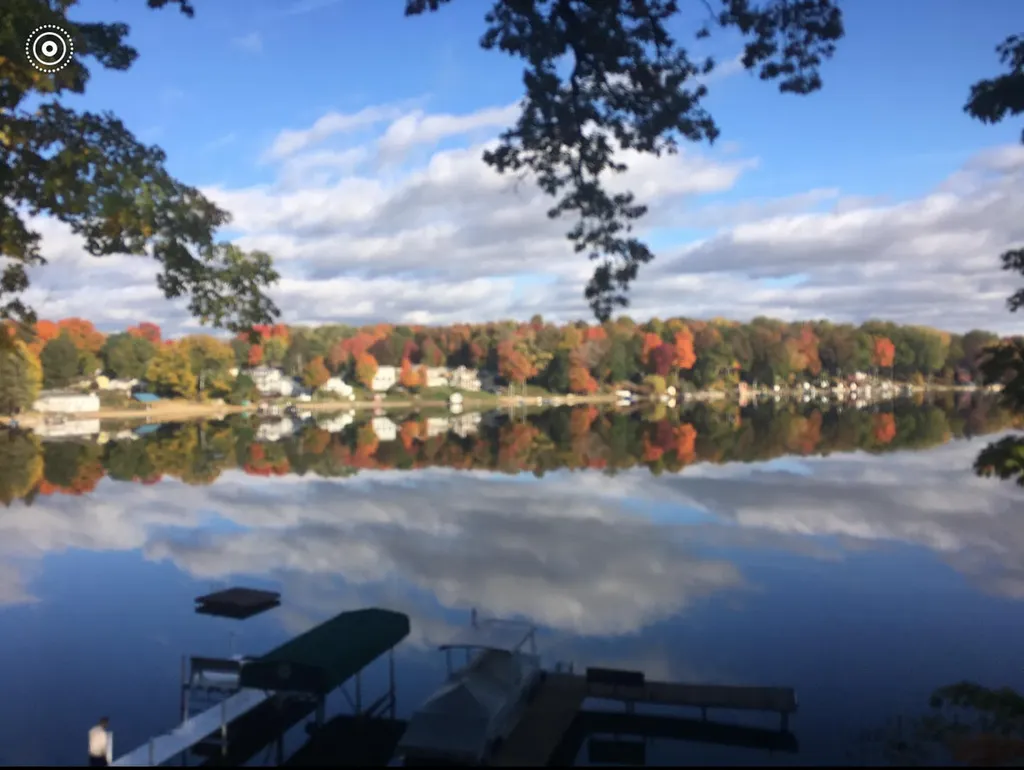 15891 Lakeview Drive Buchanan Township MI 49107