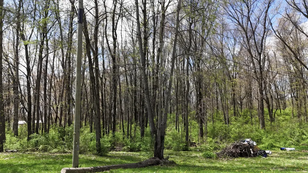 56896 Sunnyside Avenue Lagrange Township MI 49031