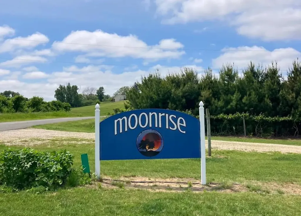 7785 Hill Road Bainbridge Township MI 49098