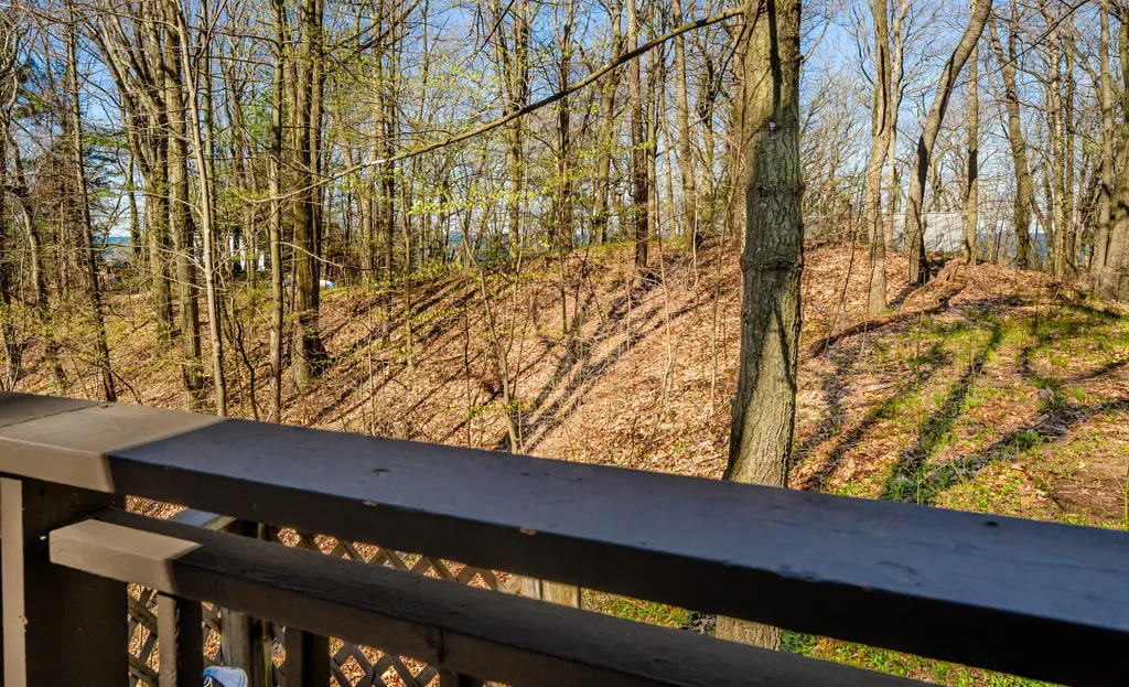 28310 Shorewood Drive Covert Township MI 49043