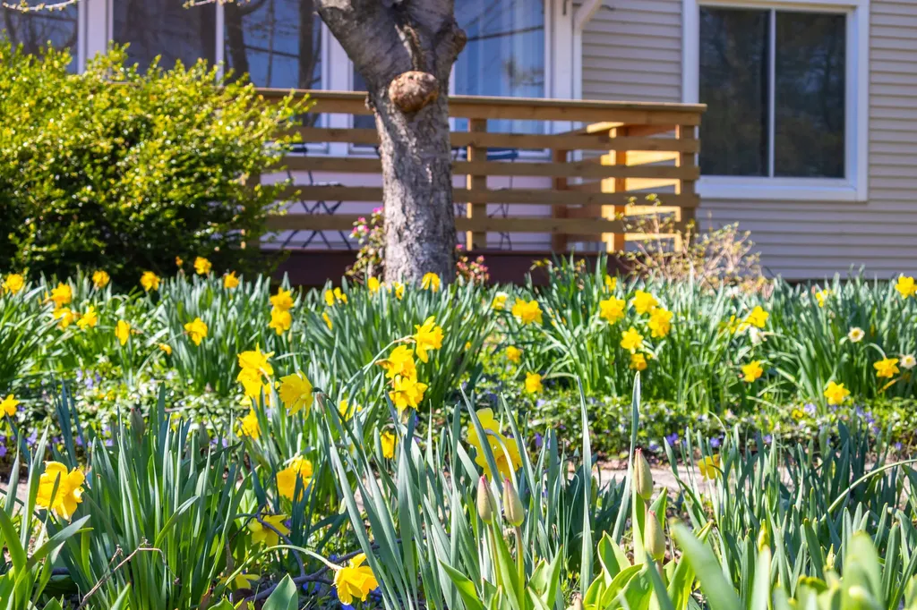 501 N Elm Street Three Oaks Village MI 49128