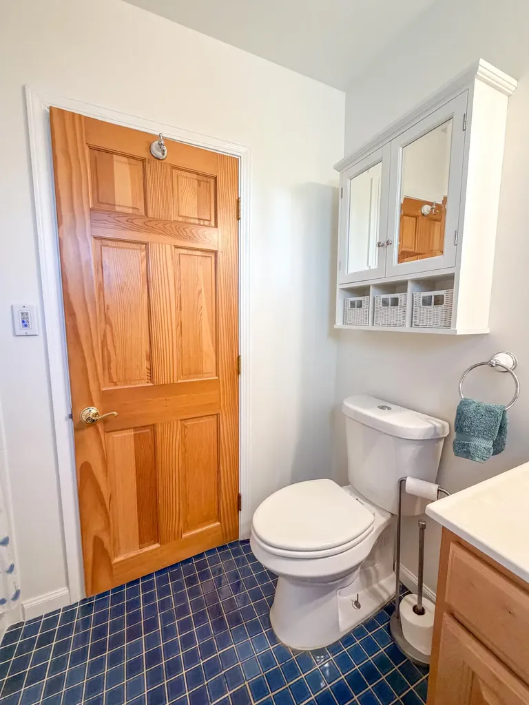 501 N Elm Street Three Oaks Village MI 49128