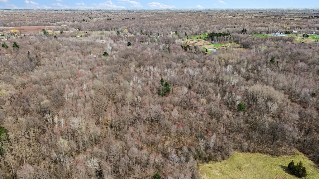 45284 Co Road 703 Covert Township MI 49038