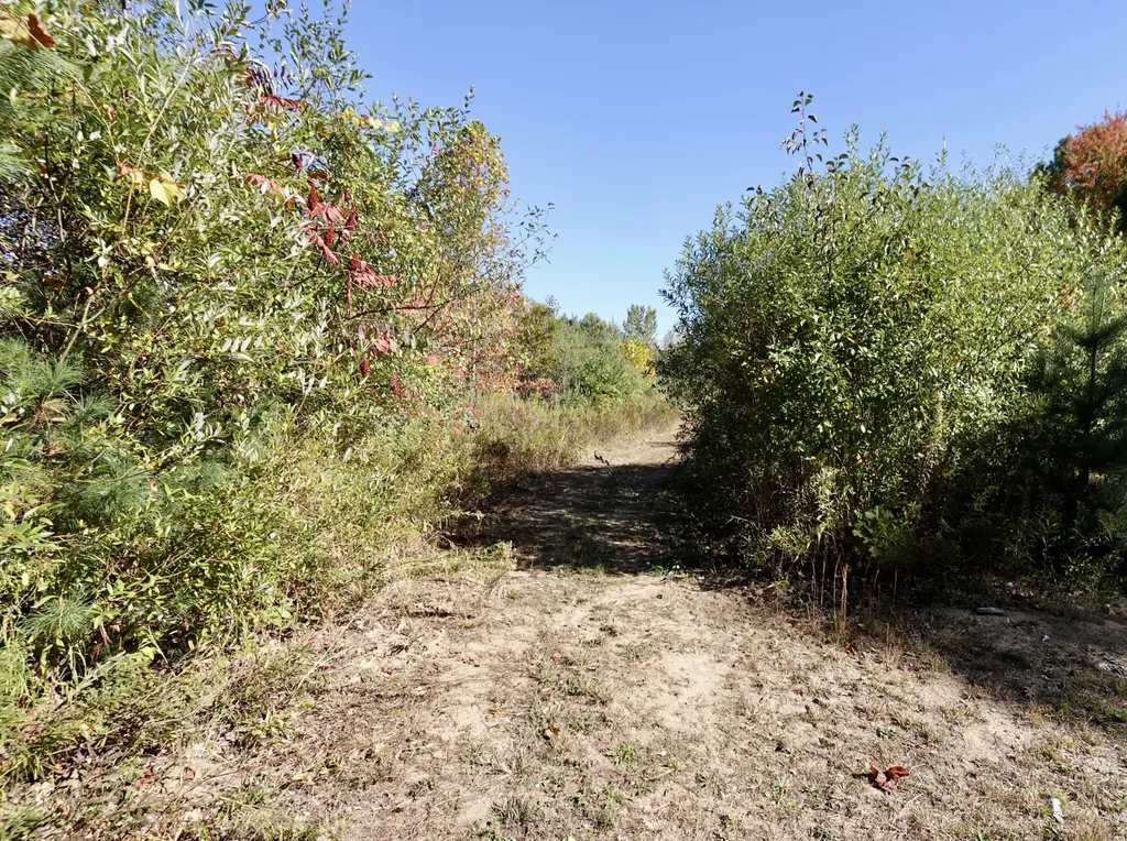 17751 Blue Star Highway South Haven Charter Township MI 49090