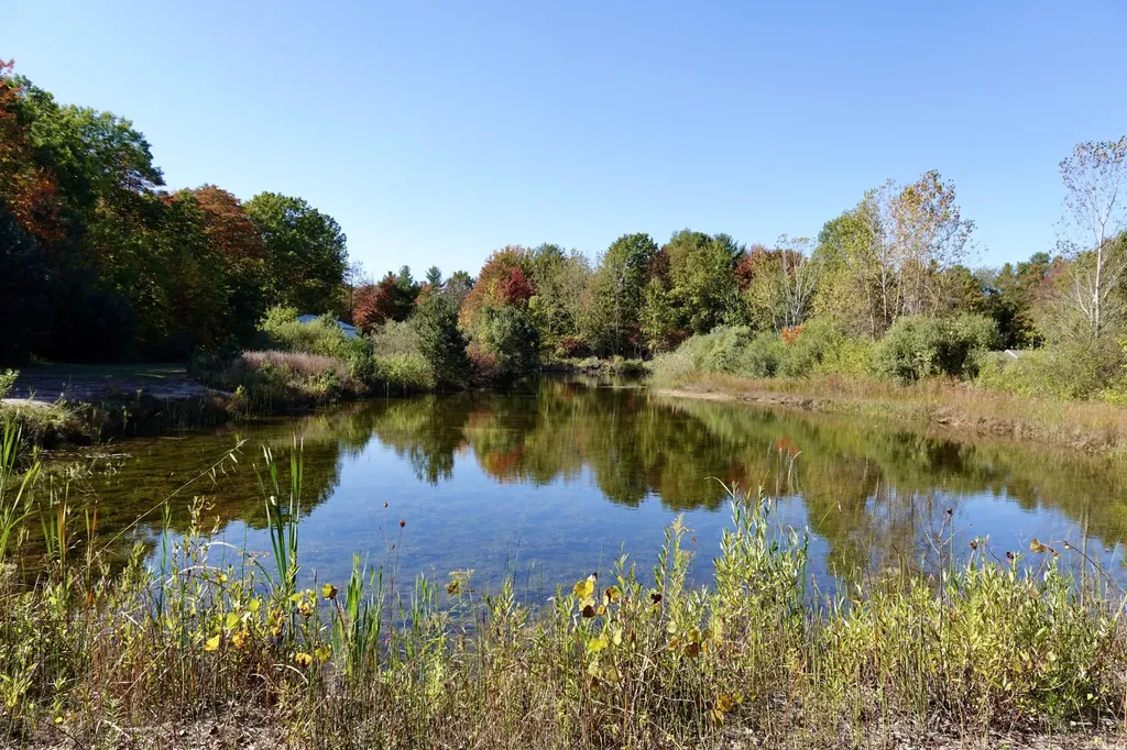 17751 Blue Star Highway South Haven Charter Township MI 49090