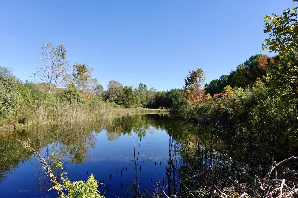 17751 Blue Star Highway South Haven Charter Township MI 49090