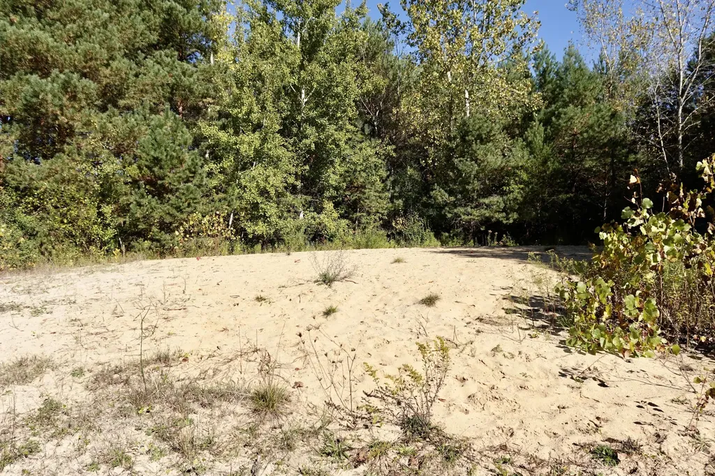 17751 Blue Star Highway South Haven Charter Township MI 49090