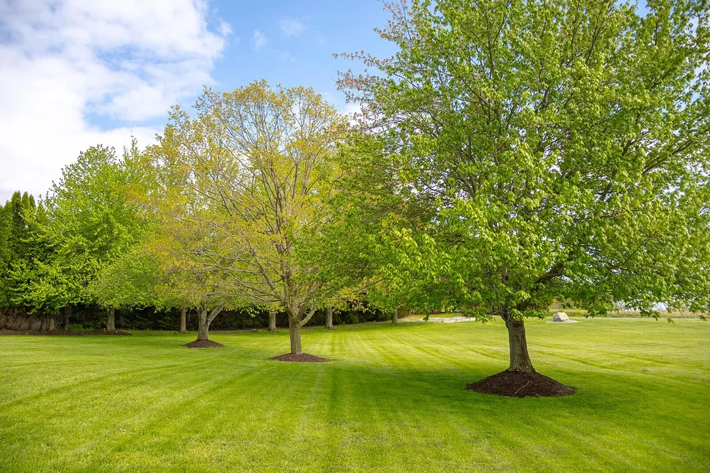 5251 Spring Creek Road Three Oaks Township MI 49128