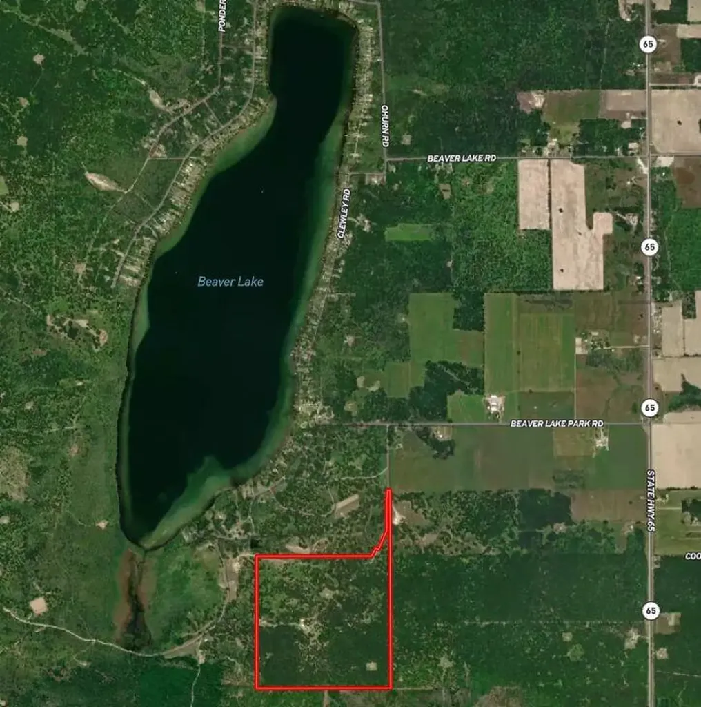 10838 Broad Road Ossineke Township MI 49753