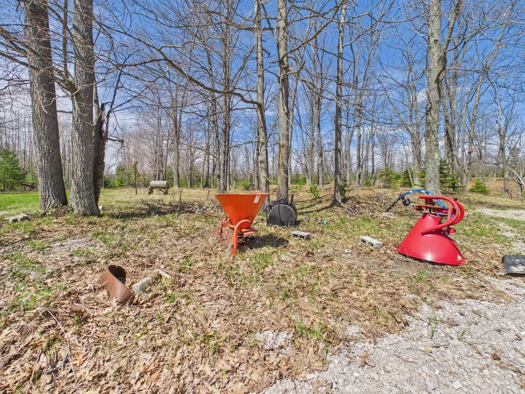 10838 Broad Road Ossineke Township MI 49753