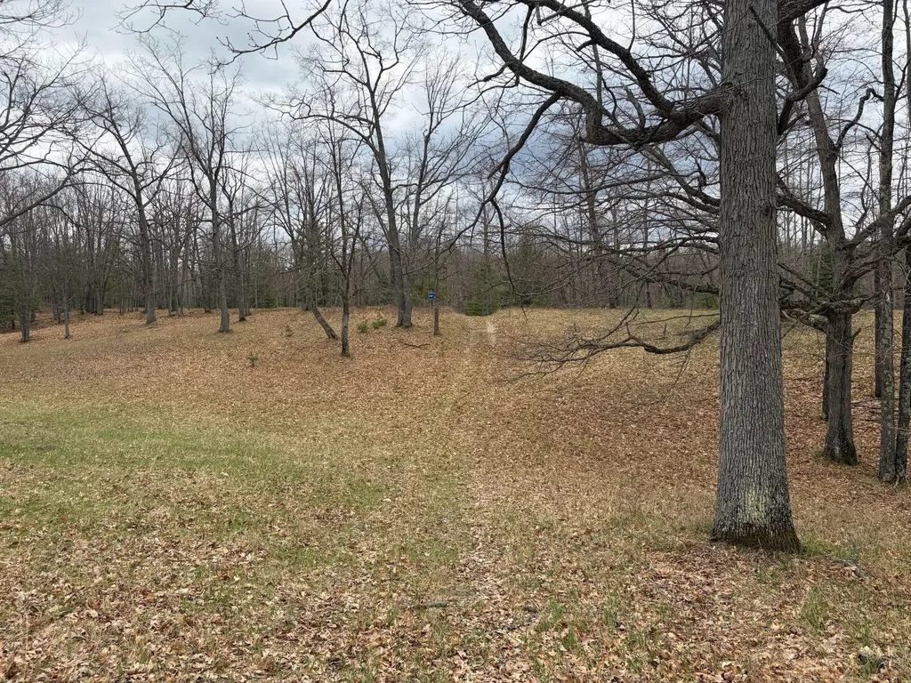 10838 Broad Road Ossineke Township MI 49753