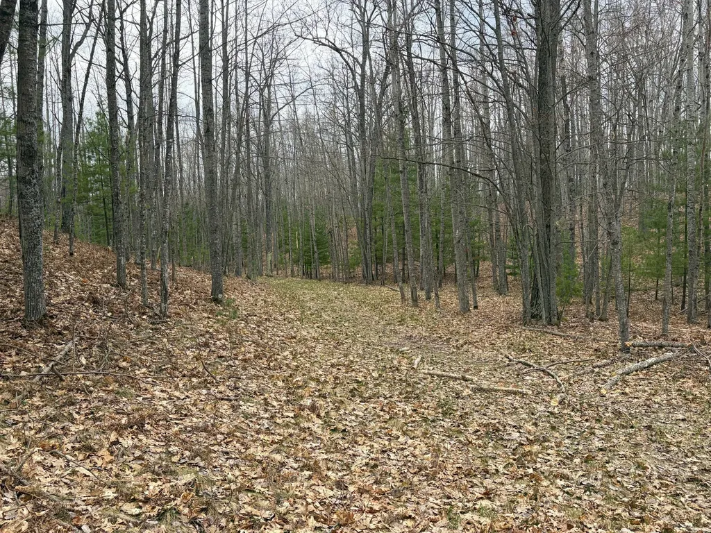 10838 Broad Road Ossineke Township MI 49753