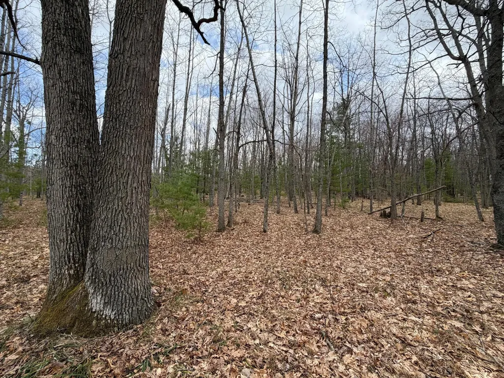 10838 Broad Road Ossineke Township MI 49753