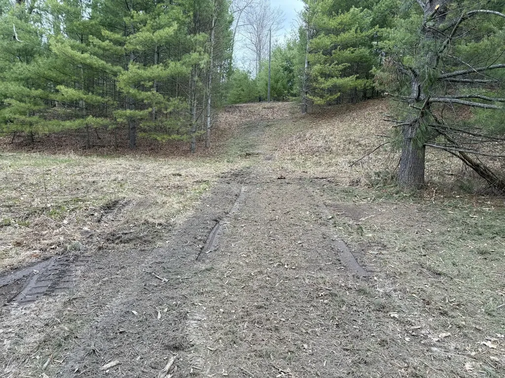 10838 Broad Road Ossineke Township MI 49753