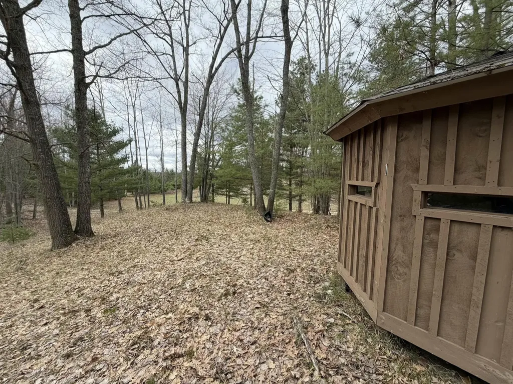 10838 Broad Road Ossineke Township MI 49753