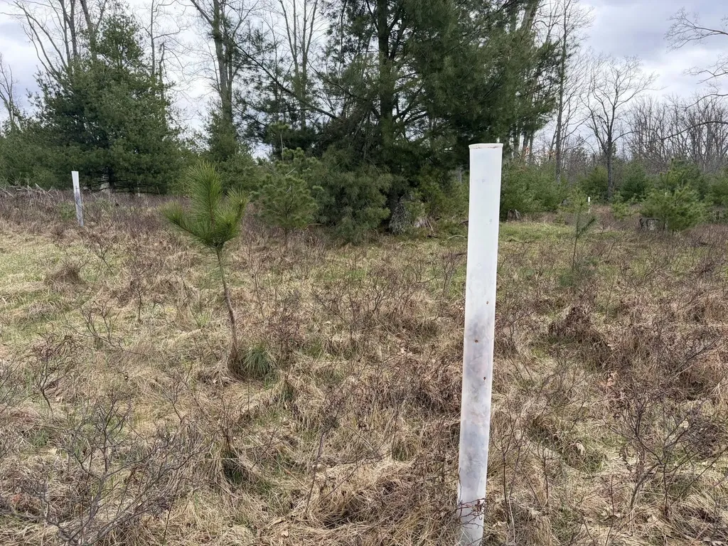10838 Broad Road Ossineke Township MI 49753