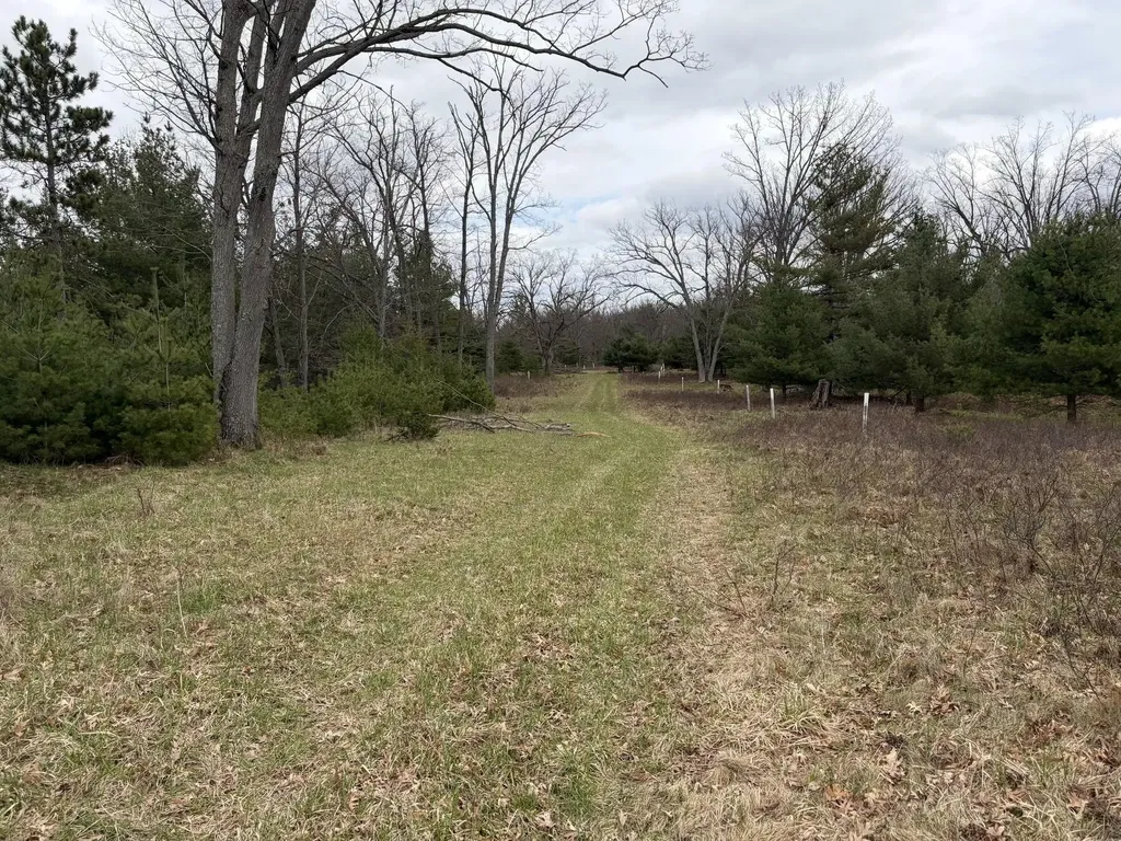 10838 Broad Road Ossineke Township MI 49753