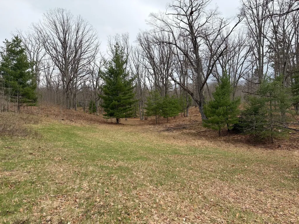 10838 Broad Road Ossineke Township MI 49753