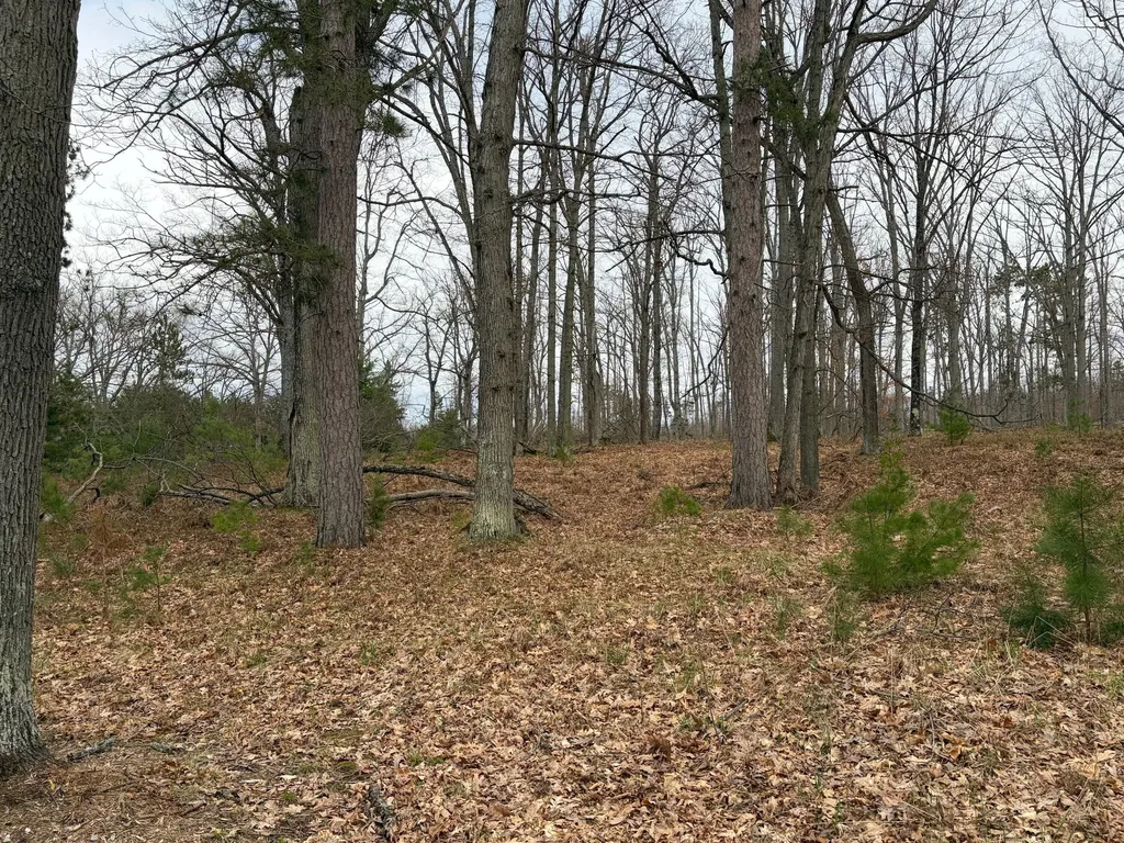 10838 Broad Road Ossineke Township MI 49753