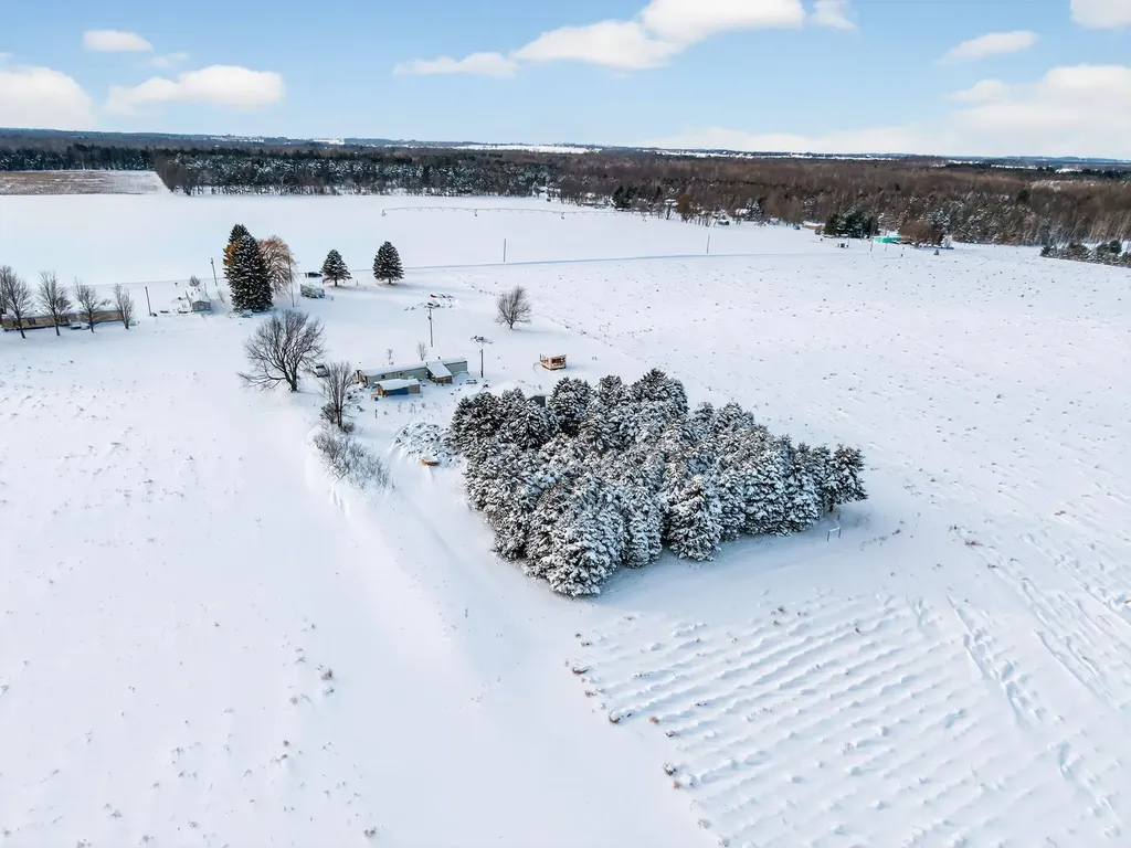 4202 N 120th Avenue Elbridge Township MI 49420