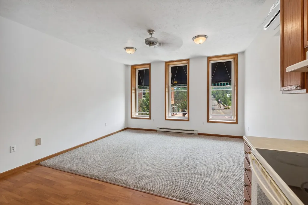 217 E Front Street Buchanan City MI 49107