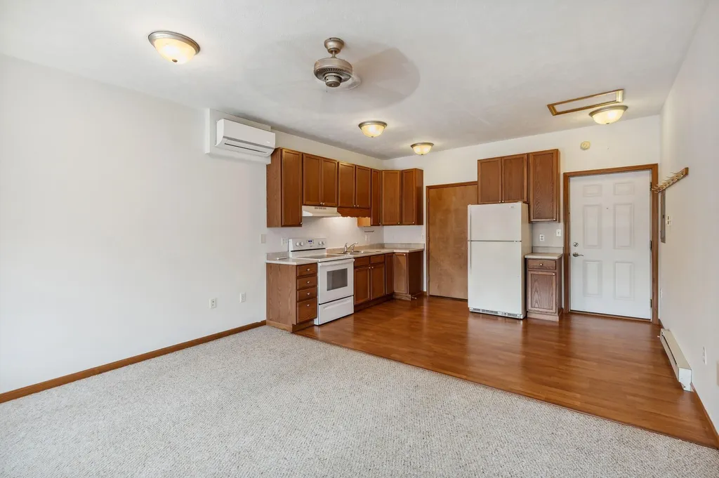 217 E Front Street Buchanan City MI 49107