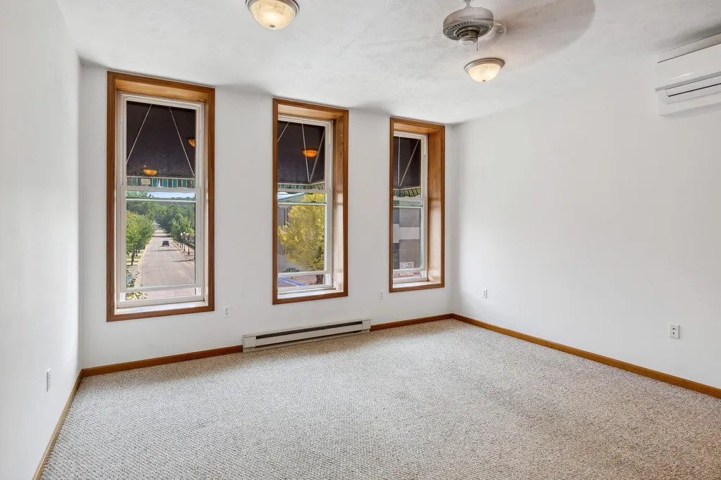 217 E Front Street Buchanan City MI 49107